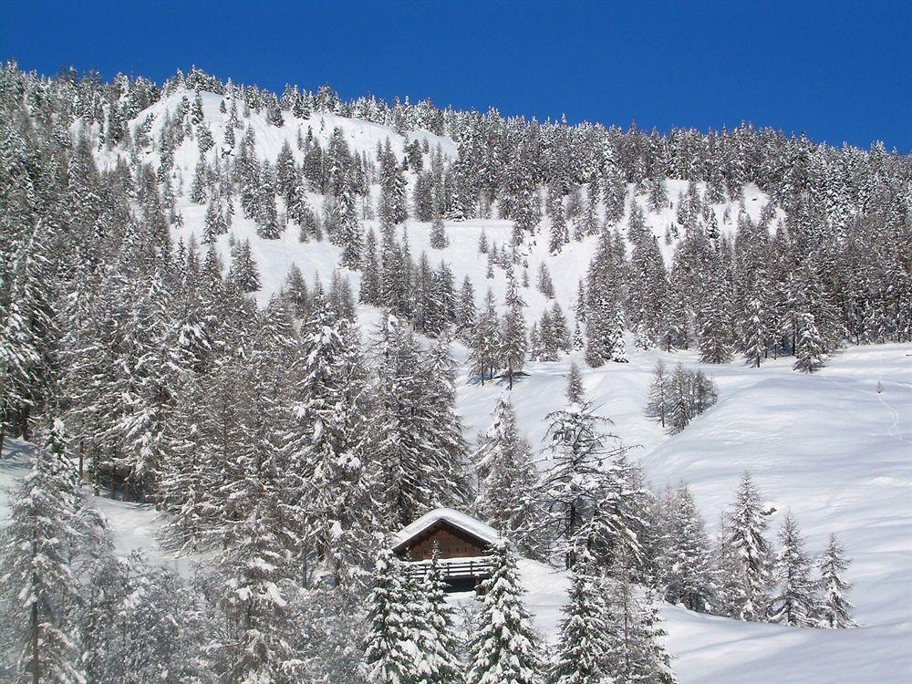 Affittacamere Buenavista Guest House Champoluc Exterior photo